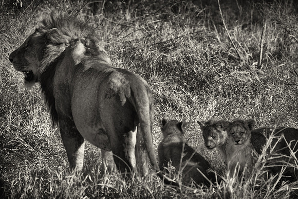 King & Kids