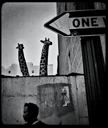 "Everyday is Bizarre."