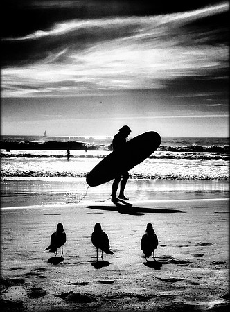 Surfer Envy