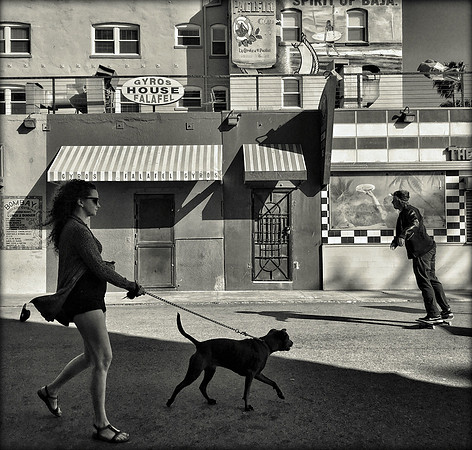 Along the Avenue