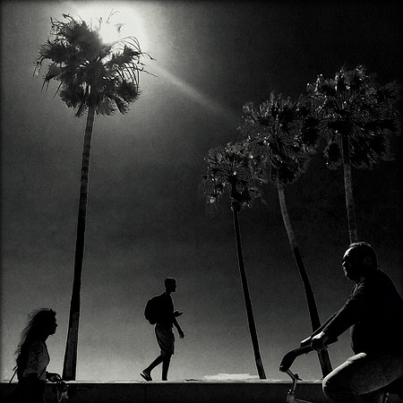 Under a California Sun