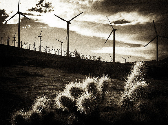 Turbines and Cacti