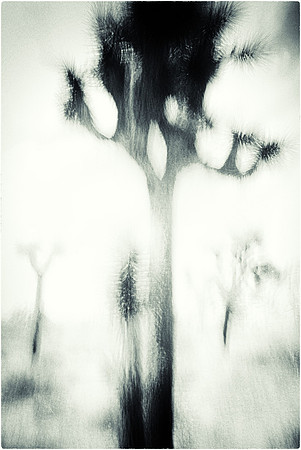 Desert Sketch 3
