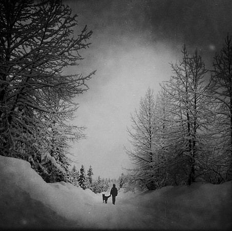 Winter Scene, AK.