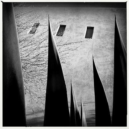 Arizona Shadows 1