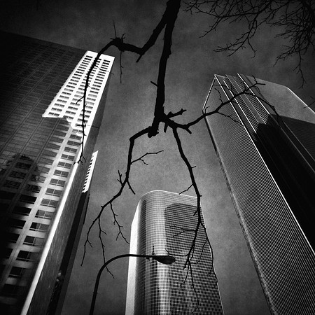 Branching Out
