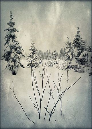 Girdwood AK 1