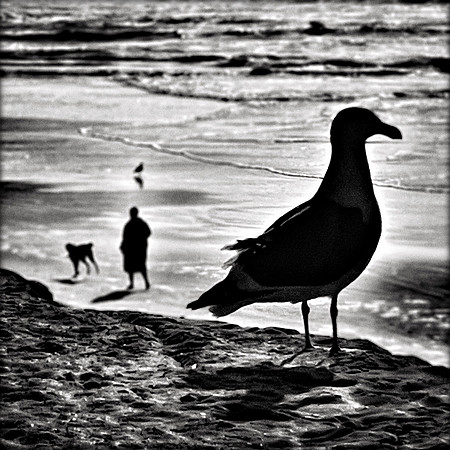 West Coast Autumn