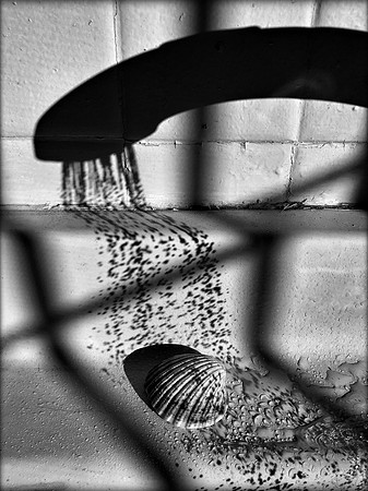 Lockdown Still Life #2