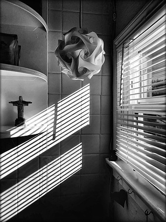 Lockdown Still Life #1