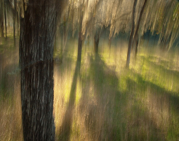 Oak Shores, CA. 3