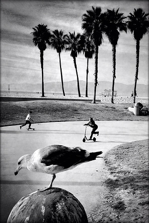 Beach Life